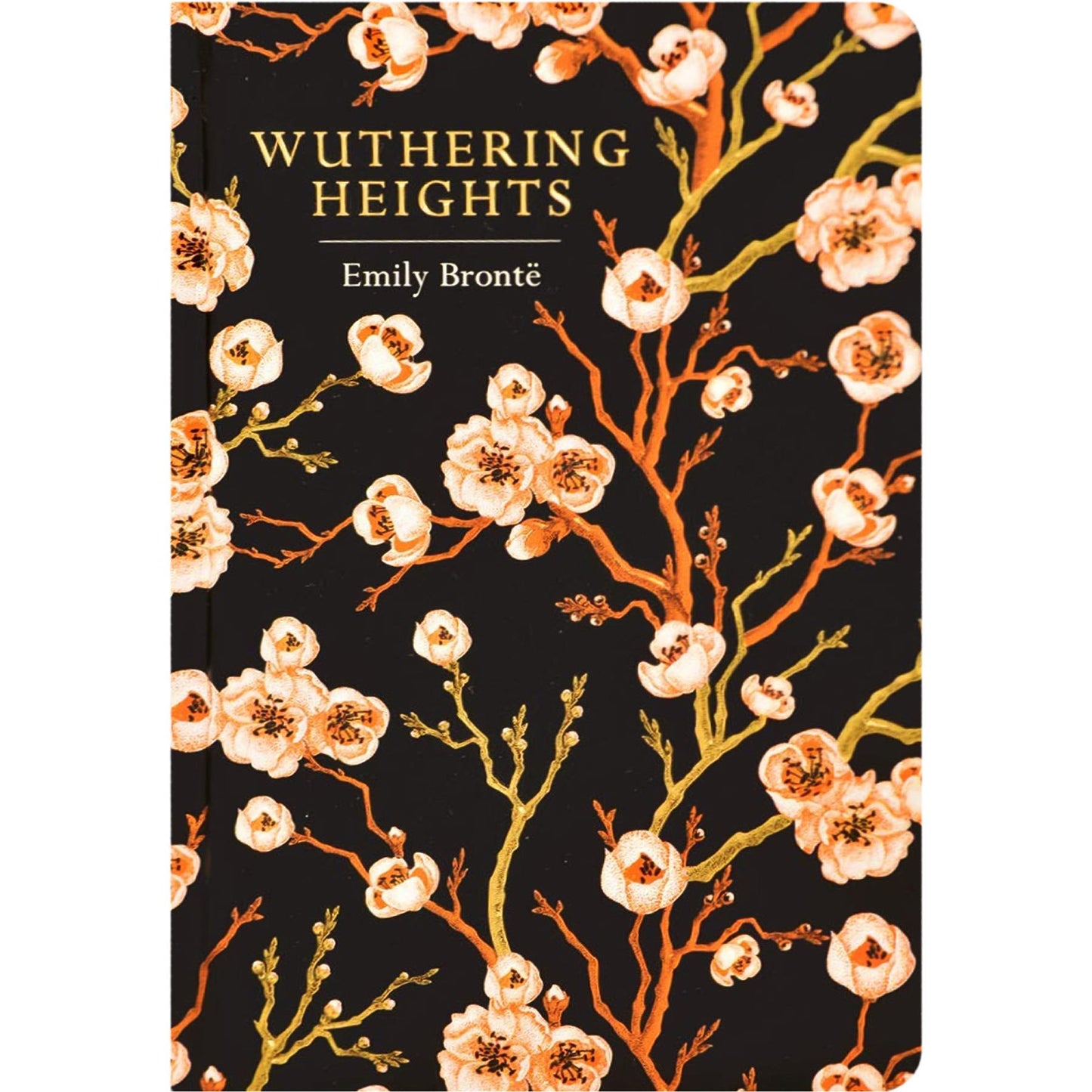 Timeless Classics Collection: Great Expectations by C. Dickens, Pride & Prejudice by J. Austen, Jane Eyre by C. Brontë & More (Hardcover, 8 Books) – Beautiful Chiltern Editions