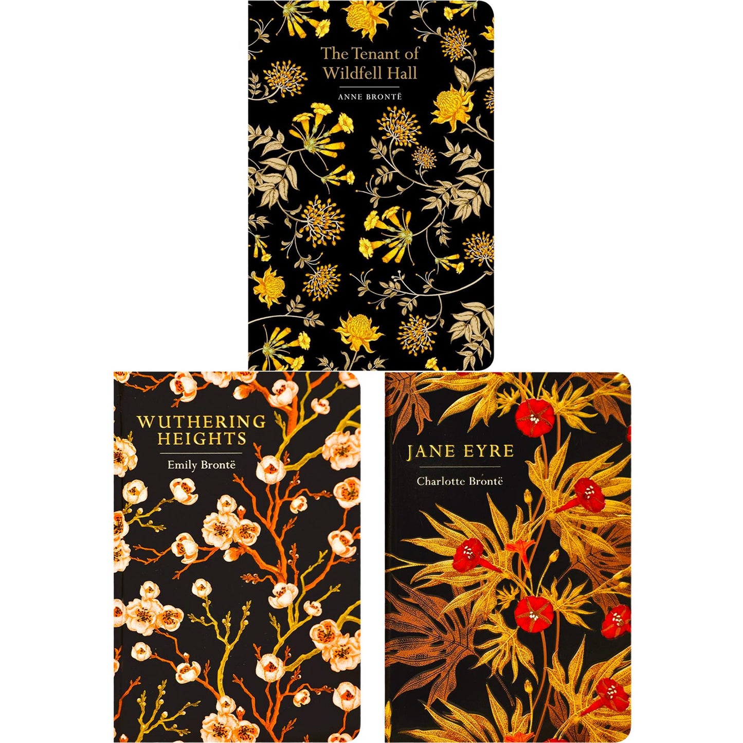 The Austen & Brontë Literary Heritage Collection: Pride and Prejudice, Jane Eyre, Wuthering Heights & More (Hardcover, 9 Books) – Timeless Classics in Exquisite Chiltern Editions