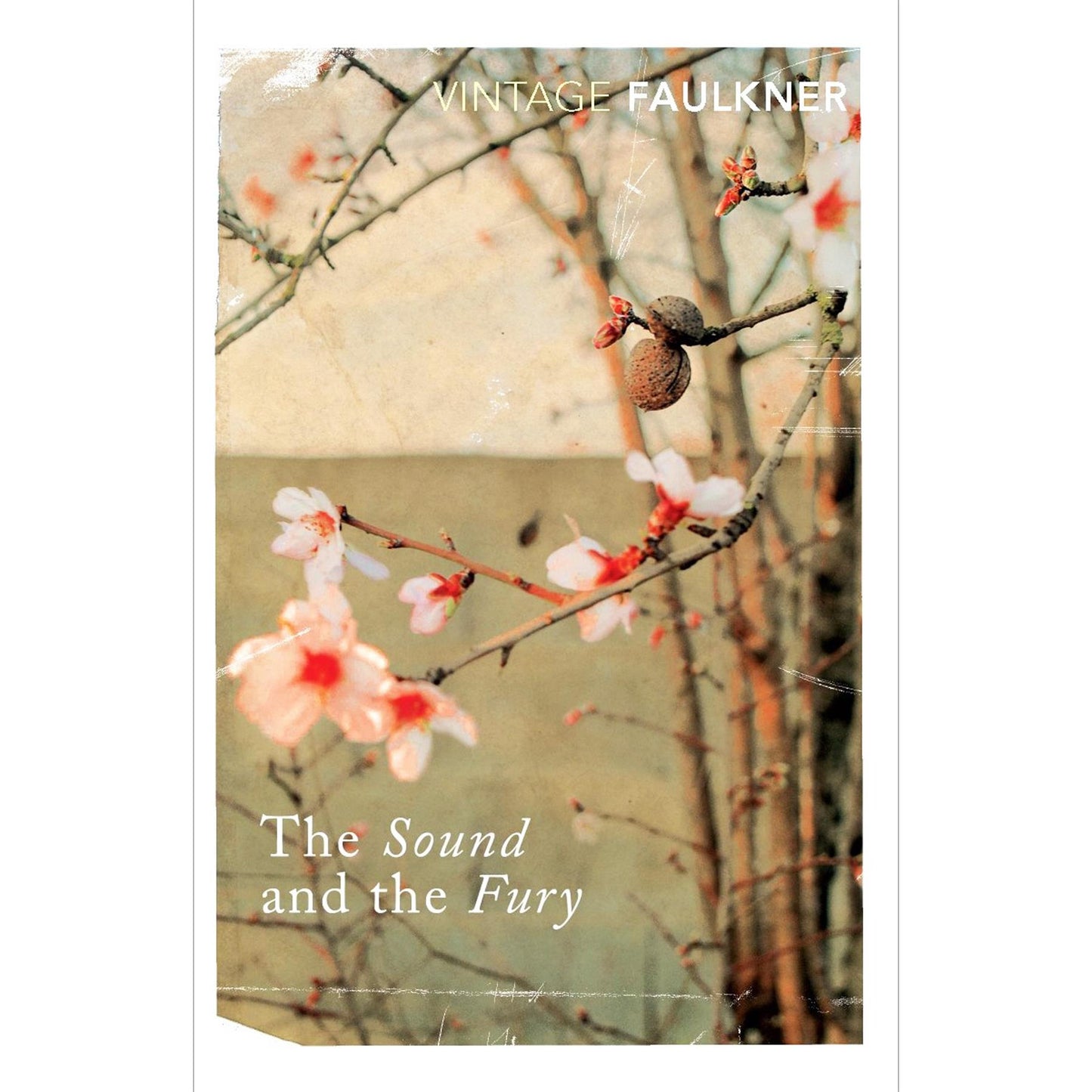 William Faulkner: 3-Book Set Featuring As I Lay Dying, Absalom, Absalom! & The Sound and the Fury – A Masterclass in Family, Tragedy, and the American South