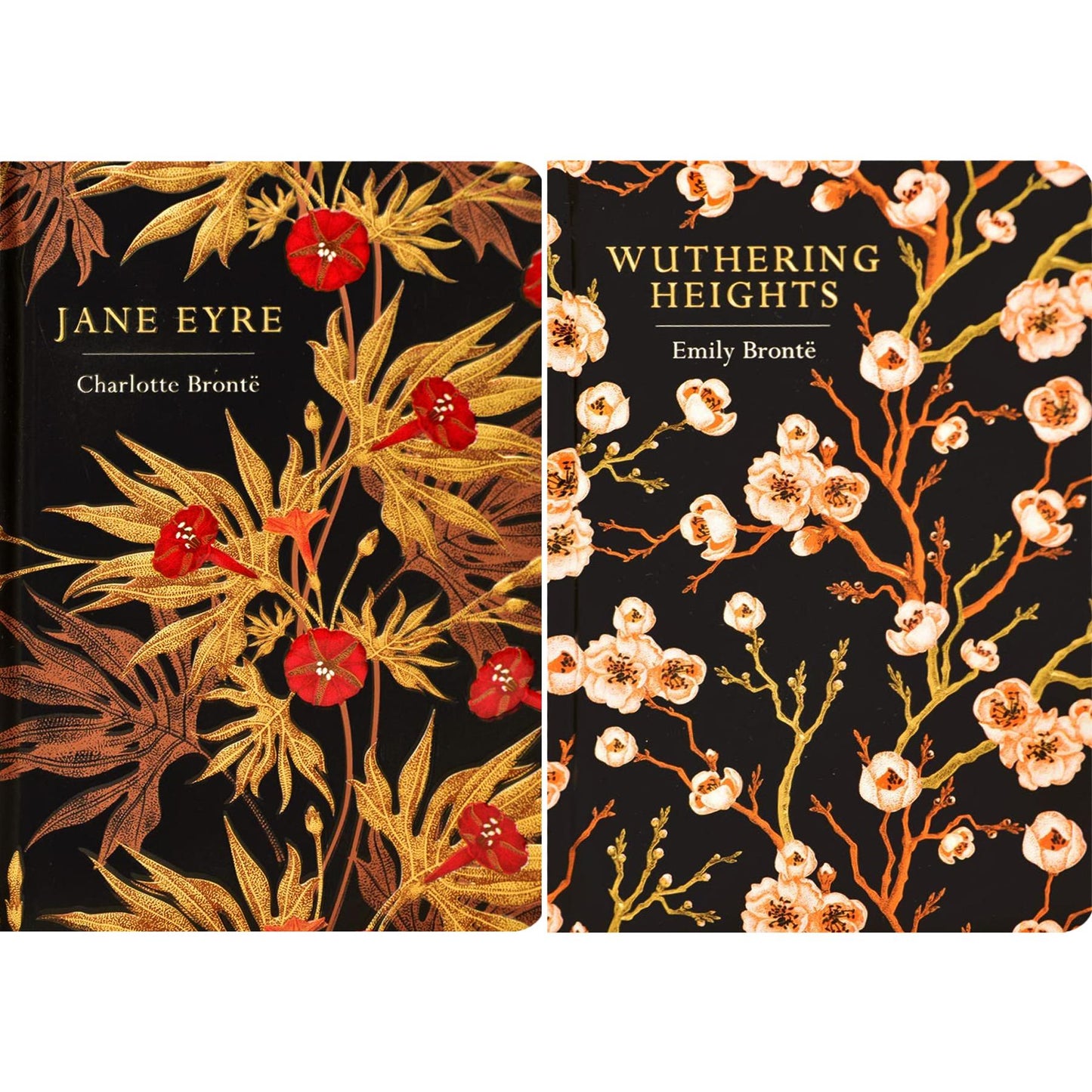 Timeless Classics Collection: Great Expectations by C. Dickens, Pride and Prejudice by J. Austen, Jane Eyre by C. Brontë & More (Hardcover, 8 Books) With Two Journals – Beautiful Chiltern Edition