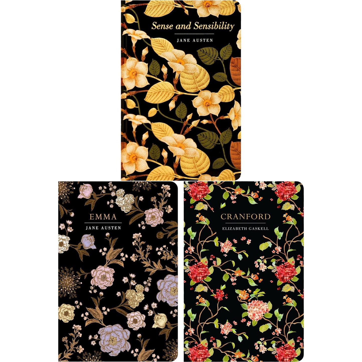 The Women in Literature Collection: Little Women, Jane Eyre, Sense and Sensibility & More (Hardcover, 6 Books) with Three Journals for Reflection in Exquisite Chiltern Classics Editions