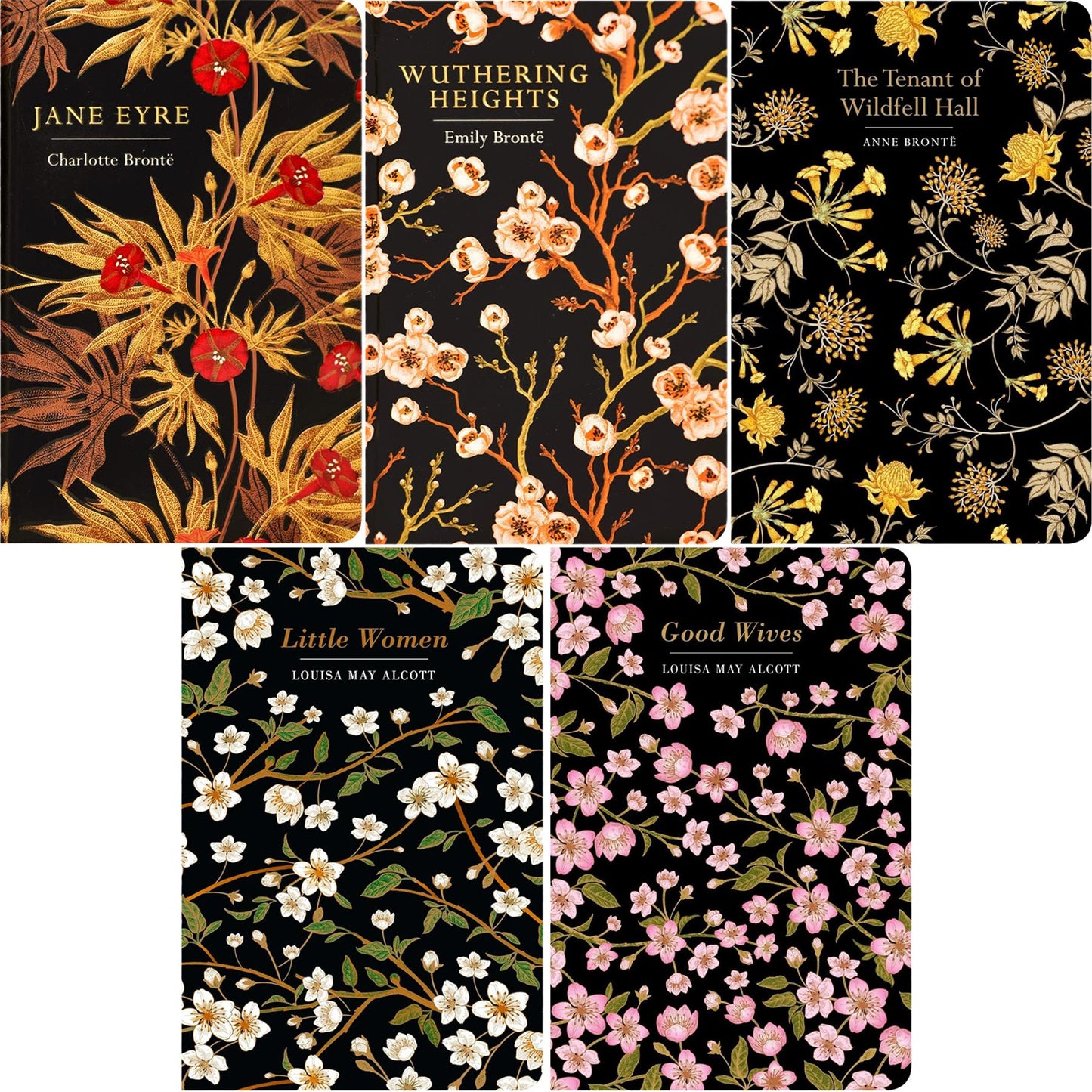 The Women in Literature Collection: Wuthering Heights, Little Women, Tess of the D’Urbervilles & More (Hardcover, 20 Books) with Five Journals – Timeless Classics in Elegant Chiltern Editions