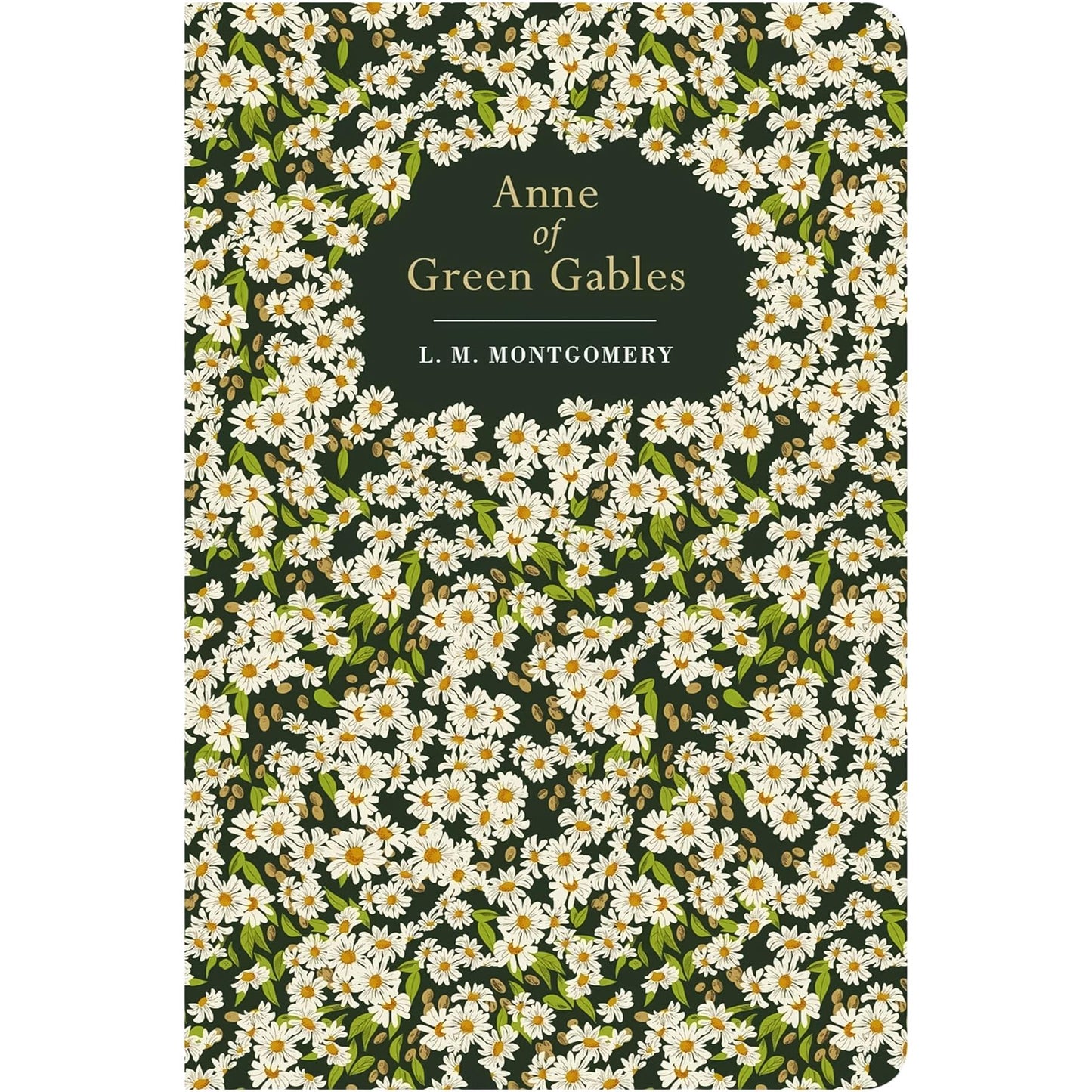 Beloved Heroines Collection: Anne of Green Gables, Pride and Prejudice, Little Women & More (Hardcover, 5 Books) with Three Notebooks – Timeless Classics in Exquisite Chiltern Editions