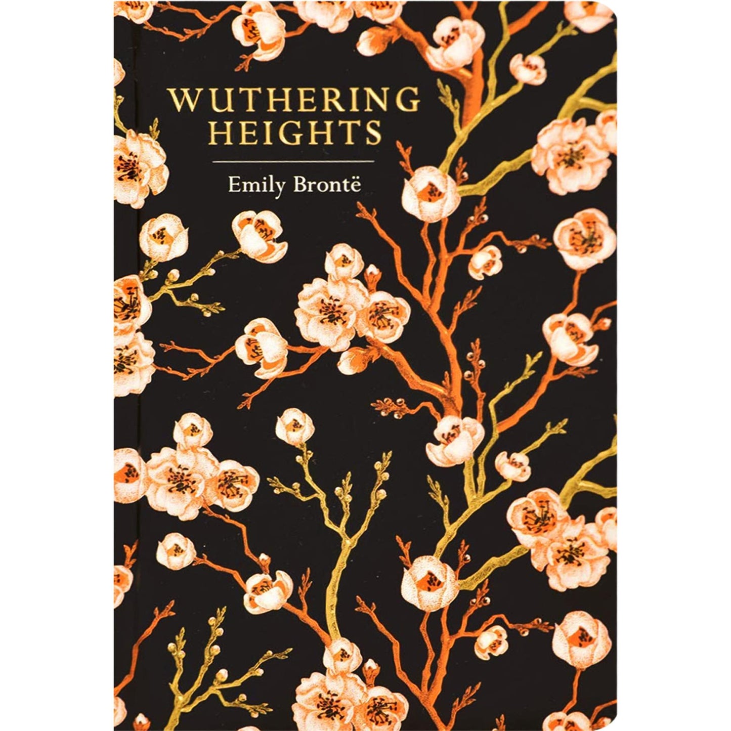 The Gothic & Supernatural Collection: Dracula, Frankenstein, Wuthering Heights & More (Hardcover, 6 Books) with Two Notebooks in Exquisite Chiltern Classics Editions