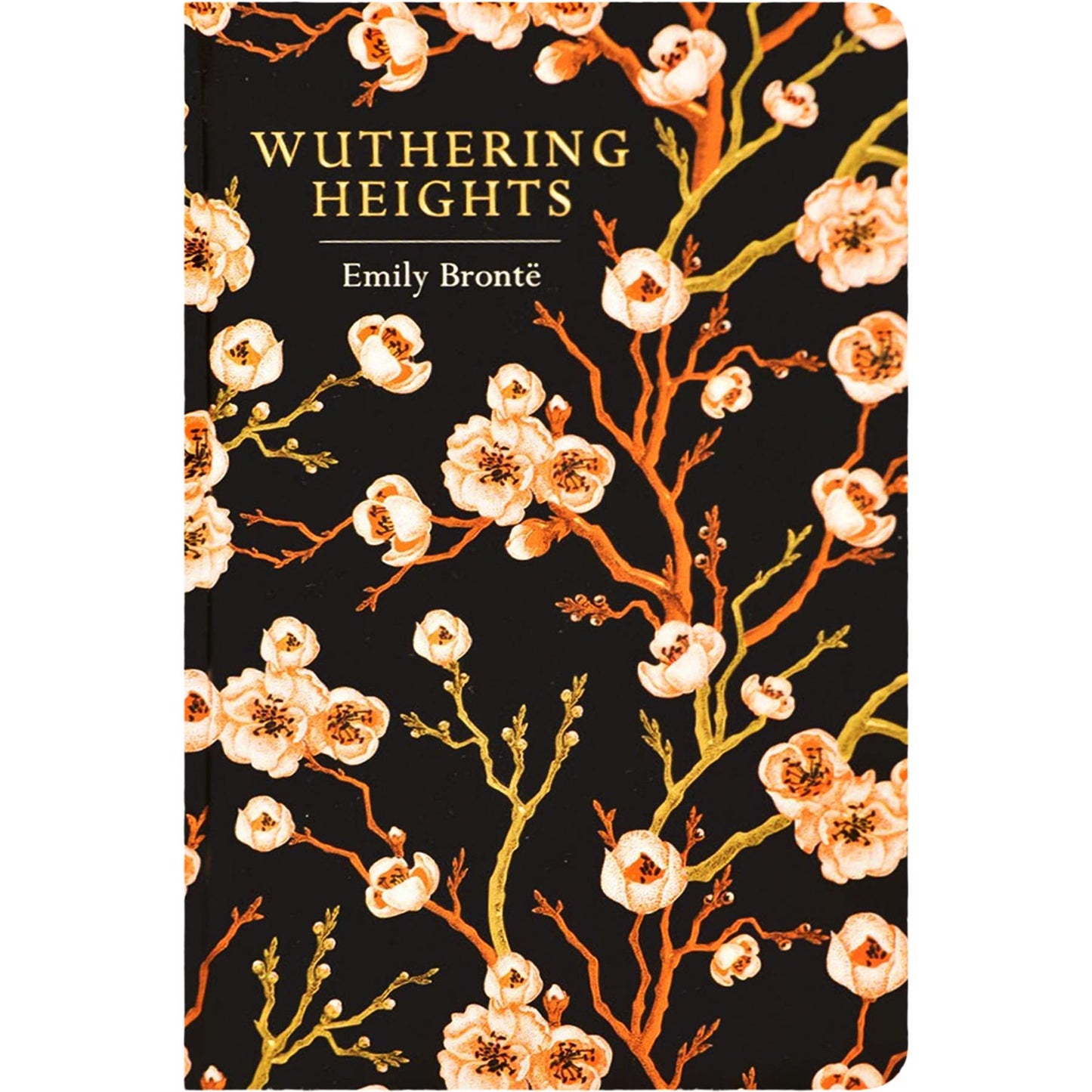 Beloved Heroines Collection: Anne of Green Gables, Pride and Prejudice, Little Women & More (Hardcover, 5 Books) with Three Notebooks – Timeless Classics in Exquisite Chiltern Editions