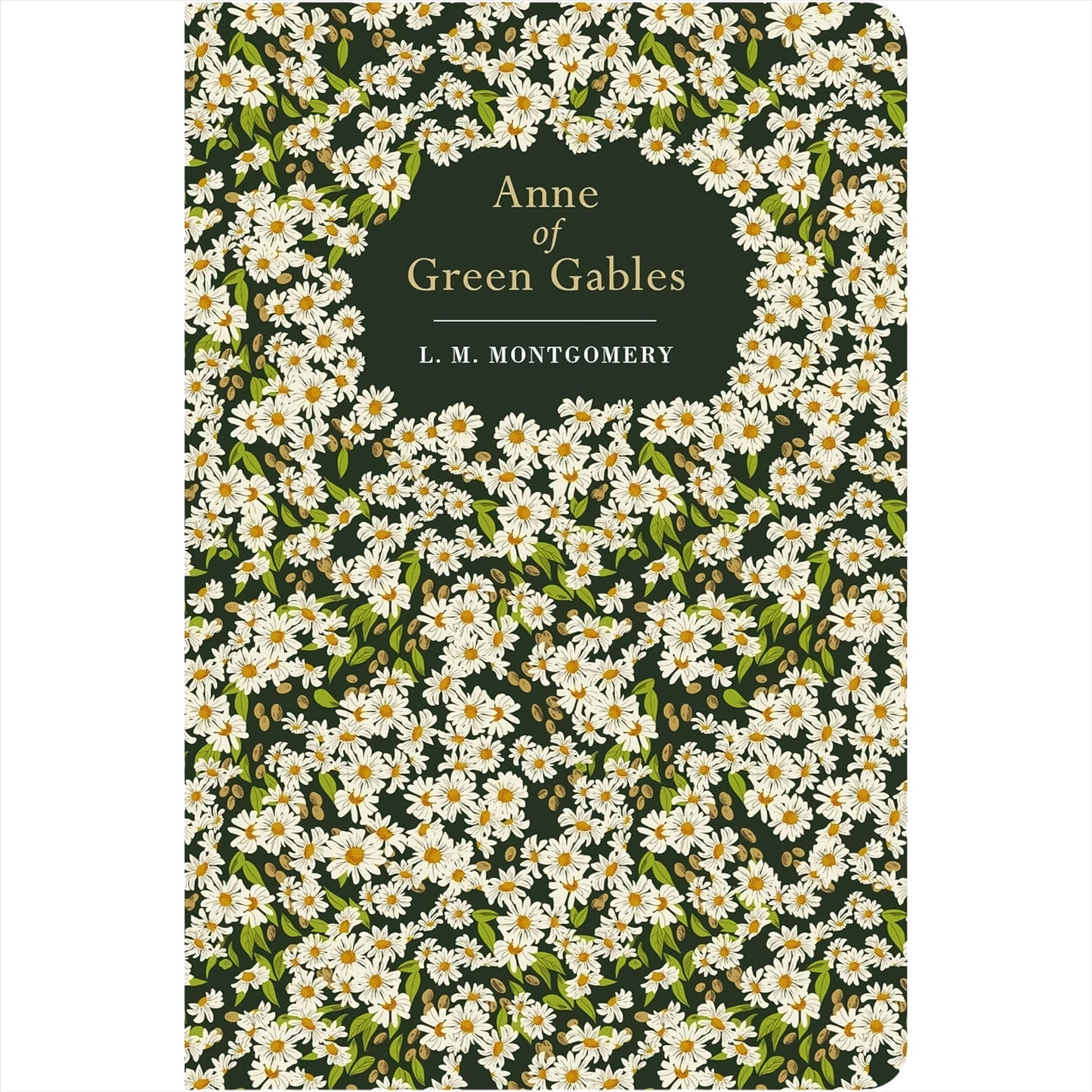 Beloved Heroines Collection: Anne of Green Gables, Pride and Prejudice, Little Women & More (Hardcover, 5 Books) with Three Journals – Timeless Classics in Exquisite Chiltern Editions