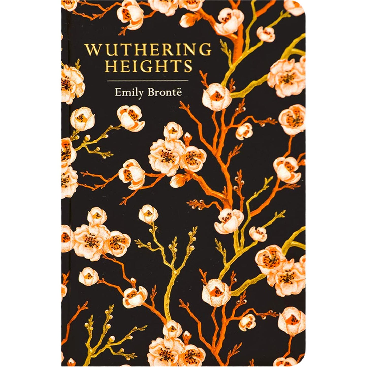 Timeless Love & Redemption: Sense and Sensibility, Wuthering Heights, Tess of the d’Urbervilles & The Scarlet Letter (Hardcover, 4 Books) with Two Matching Journals – Exquisite Chiltern Editions
