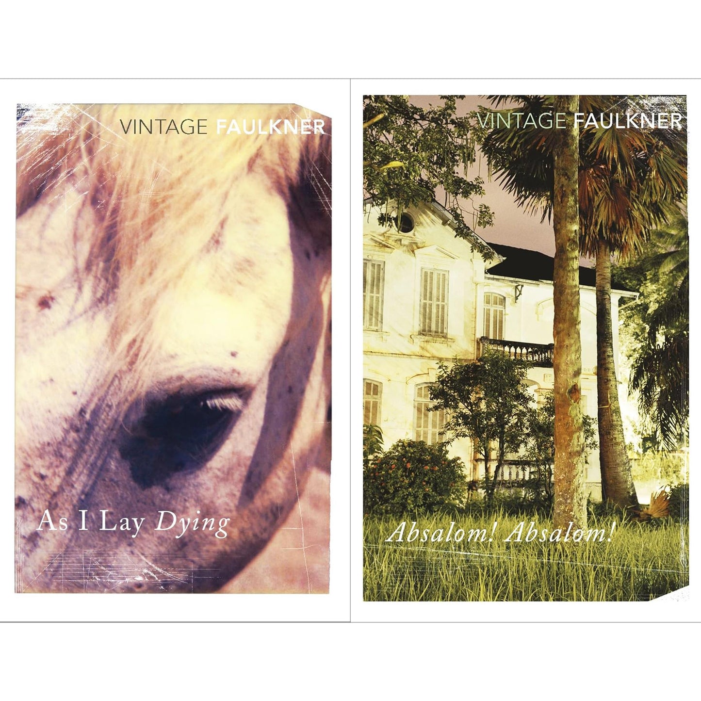 William Faulkner: A 2-Book Set – As I Lay Dying & Absalom, Absalom! – A Journey Through the American South, Family, and Identity in the Post-Civil War Era