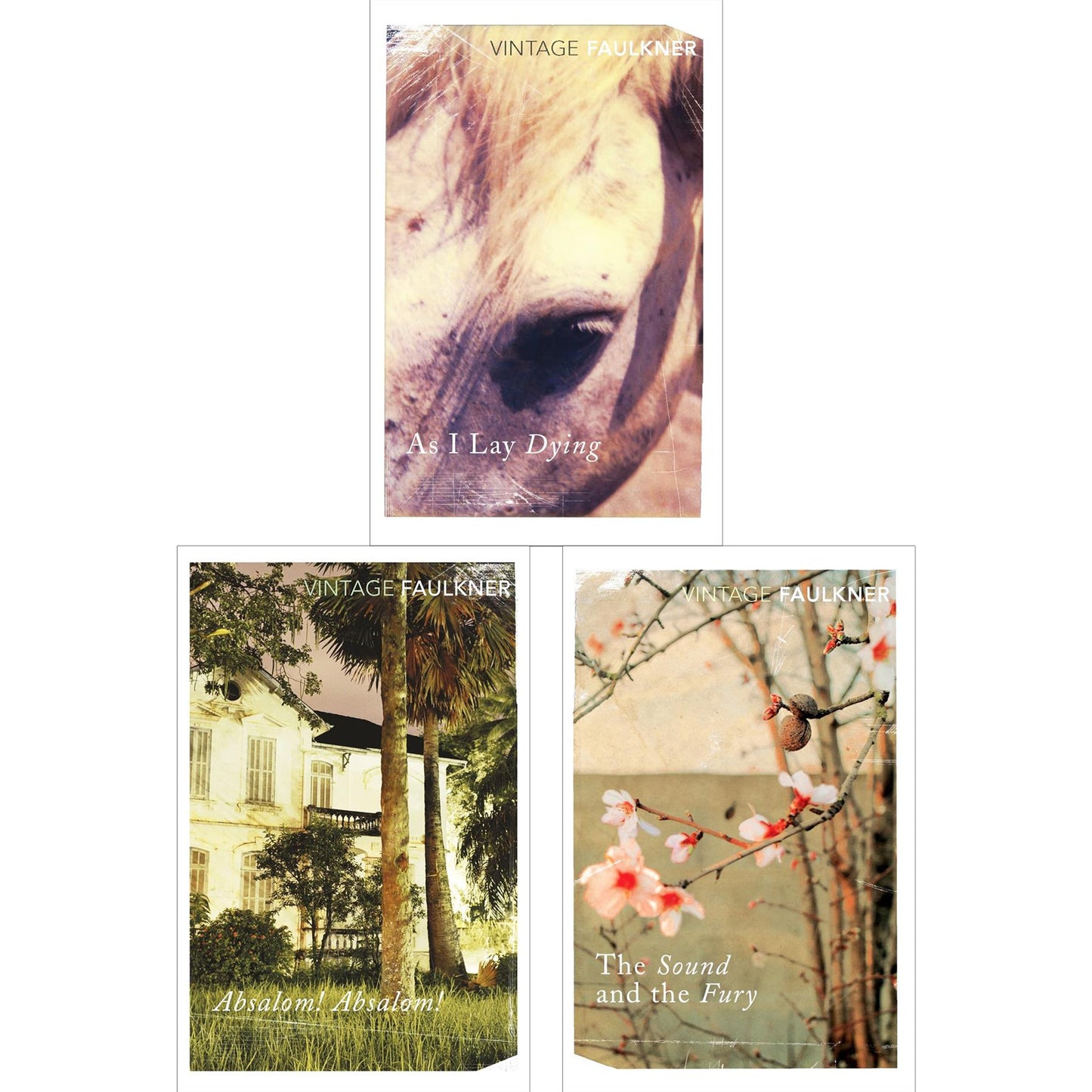 William Faulkner: 3-Book Set Featuring As I Lay Dying, Absalom, Absalom! & The Sound and the Fury – A Masterclass in Family, Tragedy, and the American South