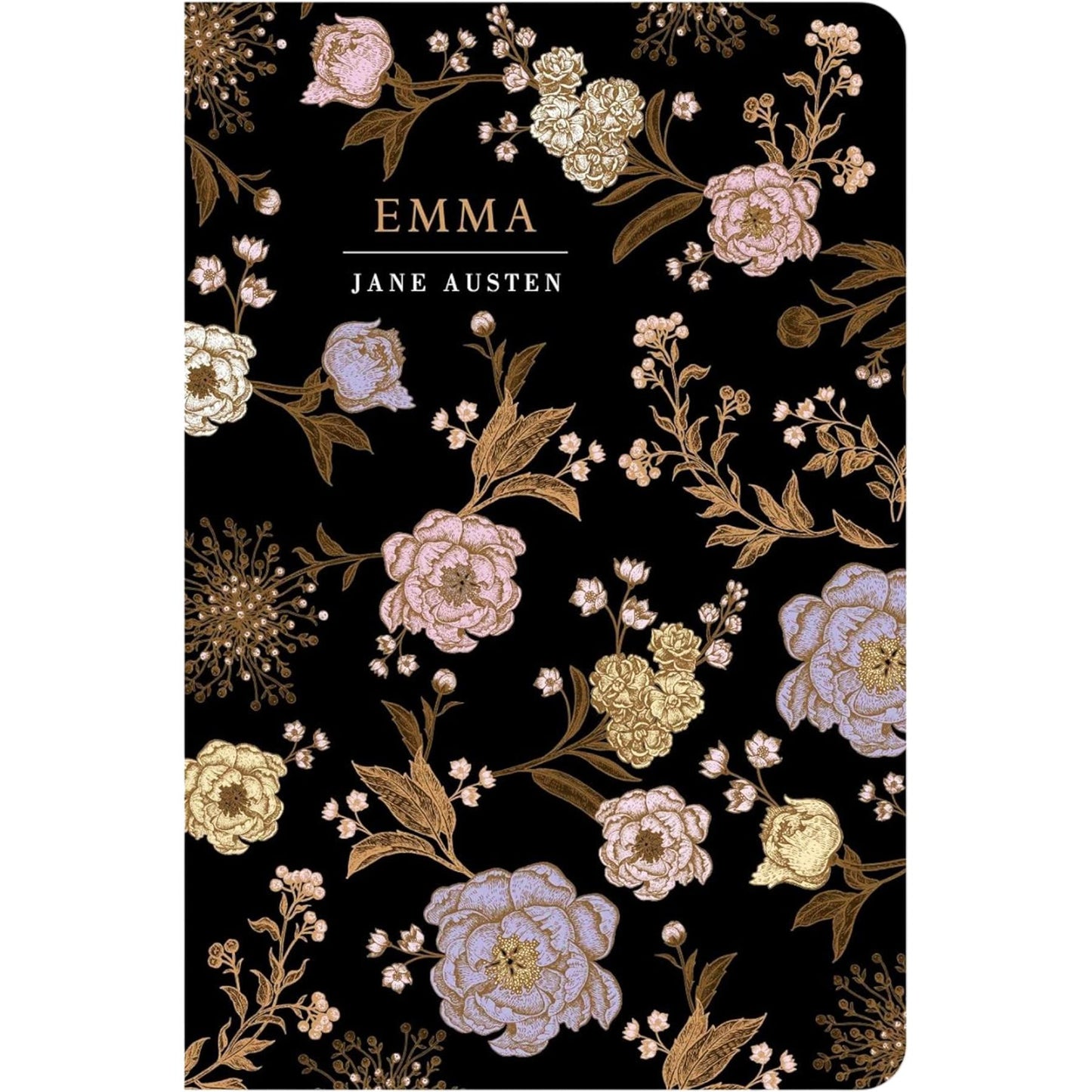 The Women in Literature Collection: Little Women, Jane Eyre, Sense and Sensibility & More (Hardcover, 6 Books) – Timeless Stories of Strength, Love, and Independence in Chiltern Classics Editions