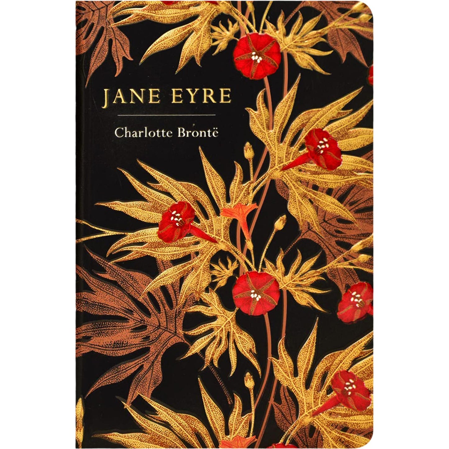 The Women in Literature Collection: Little Women, Jane Eyre, Sense and Sensibility & More (Hardcover, 6 Books) with Notebook for Reflection in Exquisite Chiltern Classics Editions