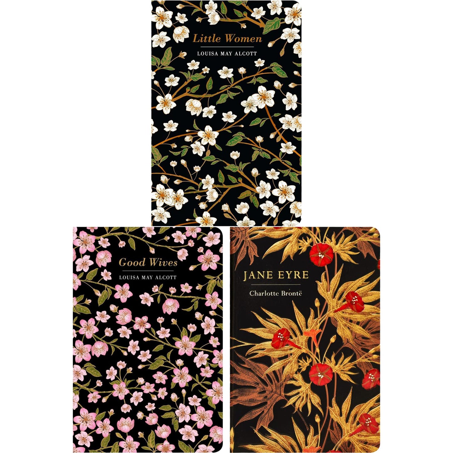 The Women in Literature Collection: Little Women, Jane Eyre, Sense and Sensibility & More (Hardcover, 6 Books) with Three Journals for Reflection in Exquisite Chiltern Classics Editions
