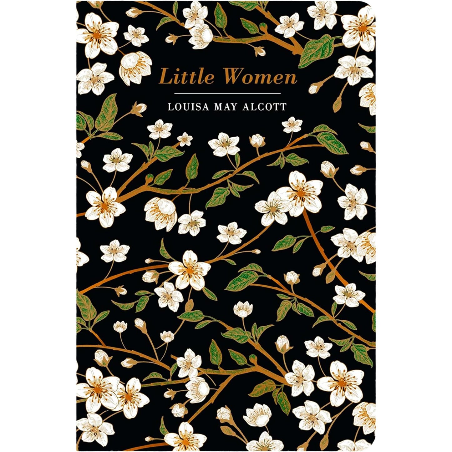 Beloved Heroines Collection: Anne of Green Gables, Pride and Prejudice, Little Women & More (Hardcover, 5 Books) with Three Notebooks – Timeless Classics in Exquisite Chiltern Editions